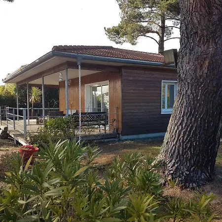 Jolie Maison De Proche Villa La Teste-de-Buch