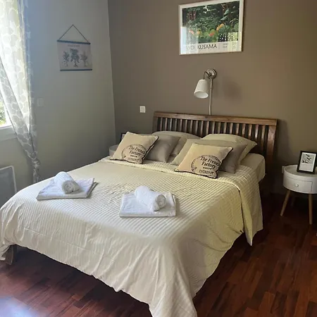 Jolie Maison De Proche 라테스트드뷔크